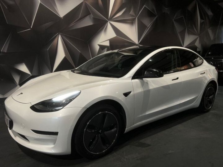 Tesla Model 3 LONG-RANGE DUAL MOTOR AWD Blanc - 1