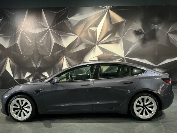 Tesla Model 3 LONG-RANGE DUAL MOTOR AWD MY21 Gris F - 5