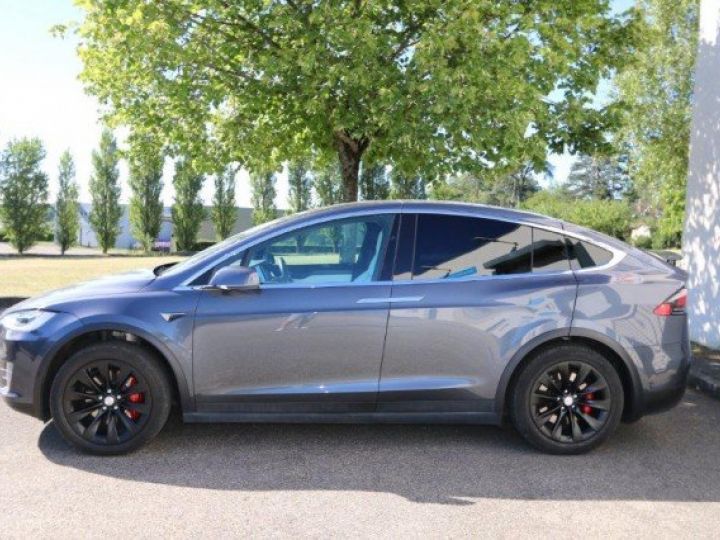 Tesla Model X 100D PERFORMANCE AWD      Electrique GRIS METAL - 6