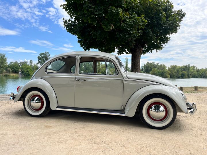 Volkswagen Coccinelle 1200 Gris Perle - 3