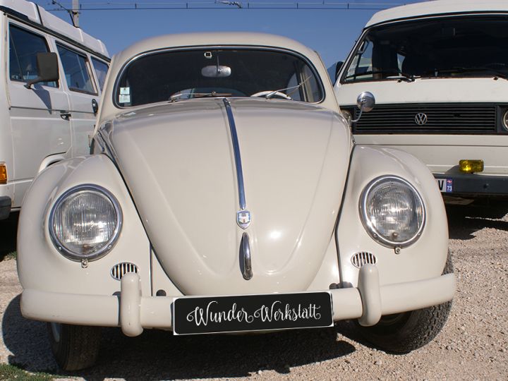 Volkswagen Coccinelle Type 11 - Ovale Standard Gris - 1