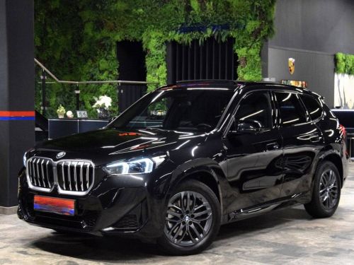 BMW X1 23d xDrive M Sport Pano LED ACC HuD h/k Leder Occasion