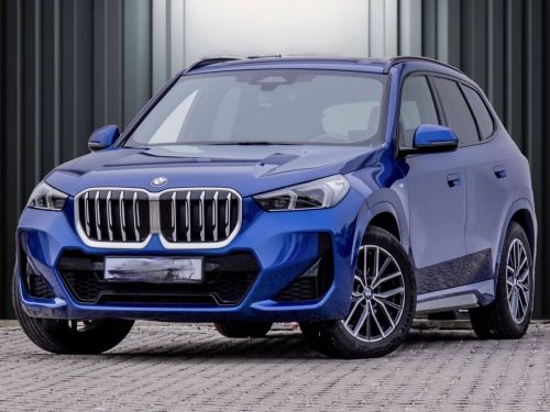 BMW X1 xDrive20d M-Sport ATTEL ACC LED Occasion