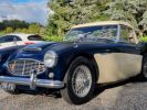 Austin Healey 3000 Bn7 Hard-top   - 13