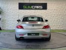 BMW Z4 II (E89) sDrive 23i Luxe GRIS  - 5