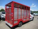 Chassis + body Renault Master Livestock body BETAILLERE DCI 130 ACIER  - 4