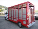 Chassis + body Renault Master Livestock body BETAILLERE DCI 130 ACIER (BASE L3)  - 3
