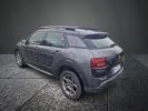 Citroen C4 Cactus 1.2 VTI - 12V Gris  - 4