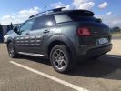 Citroen C4 Cactus BLUE HDI 100 SHINE      Diesel GRIS SHARK  - 13