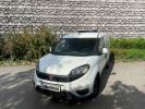 Commercial car Fiat Doblo Other CARGO 1.4 I.E TJET 120CH / CAISSE FRIGORIPHIQUE / TVA RÉCUPERABLE / GNC CRIT'AIR 1 Blanc - 1