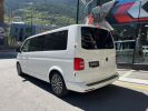 Commercial car Volkswagen Transporter Other T6 2.0 TSI 4Motion L2H1  - 3