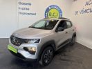 Dacia Spring BUSINESS 2020 - ACHAT INTEGRAL Gris C  - 3