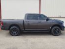 Dodge Ram 1500 sport 5 places GPL Gris  - 9