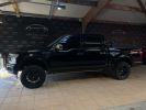 Ford F150 PLATINUM NOIR METAL  - 10