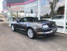 Ford Mustang CONVERTIBLE 2.3 EcoBoost 317 Gris  - 19