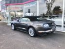 Ford Mustang CONVERTIBLE 2.3 EcoBoost 317 Gris  - 20