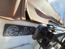 Jeep CJ7 GOLDEN EAGLE V8 304   - 7