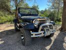 Jeep CJ7 V8 Noir  - 13