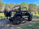 Jeep CJ7 V8 Noir  - 14