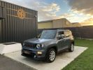 Jeep Renegade JEEP RENEGADE 1.6 MJT 120 CH BUSINESS LONGITUDE GRIS PASTEL VERNI   - 6