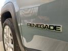 Jeep Renegade JEEP RENEGADE 1.6 MJT 120 CH BUSINESS LONGITUDE GRIS PASTEL VERNI   - 21
