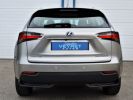 Lexus NX NX300H AWD PACK Gris  - 4