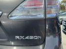 Lexus RX 450H PACK PRESIDENT Gris F  - 9