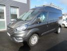 Light van Ford Transit Steel panel van CUSTOM L2H2 TDCI 130 LIMITED BOITE AUTOMATIQUE  - 1