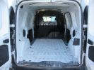 Light van Renault Kangoo Steel panel van EXPRESS VAN DCI 95 (KANGOO)  - 6