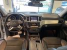 Mercedes 500 ML 4Matic Fascination Gris  - 27