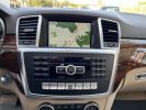 Mercedes Classe ML M 500 BlueEfficiency - BVA 7G-Tronic Plus - BM 166 Fascination PACK AMG NOIR  - 18