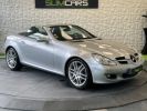 Mercedes SLK II (R171) 280 7GTro GRIS CLAIR  - 11