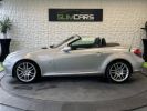 Mercedes SLK II (R171) 280 7GTro GRIS CLAIR  - 16