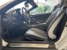 Mercedes SLK II (R171) 280 7GTro GRIS CLAIR  - 25