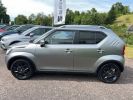 Suzuki Ignis 1.2 Dualjet Pack Gris  - 12