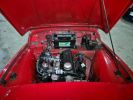 Triumph TR3A Rouge  - 24