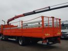 Trucks Renault Premium Platform body + crane 220dci.16D + FASSI F95 ORANGE - 6