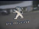 Utilitaire léger Peugeot Expert Autre TRAVELLER L HDI 150 CV GRIS FONCE - 31