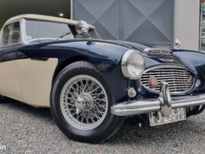 Austin Healey 3000 BN7 MKI Occasion