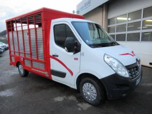 Chassis + body Renault Master Livestock body DCI 125 BETAILLERE Occasion