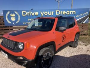 Jeep Renegade 2.0 170 cv bva AWD LOW TRAILHAWK Occasion