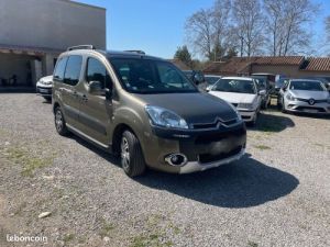 Utilitaire léger Citroen Berlingo Autre 1.6 hdi 115 cv XTR Occasion